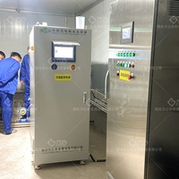 Generador de HOCl de Grado Alimenticio, Fabricante de Desinfectante de Ácido Hipocloroso, Generador de HOCl con Capacidad de 2000L/H