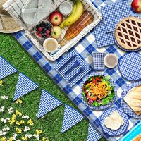 Articles de fête en gingham bleu et blanc, assiettes en papier jetables, serviettes, gobelets, nappe, bannière pour fête d'anniversaire, pique-nique, barbecue