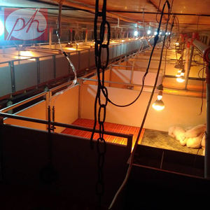 Comederos para cerdos de engorde de acero inoxidable de doble cara SUS 304 - Product Image 5