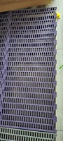 Nouvel équipement d'élevage de chèvres ou de porcs de pépinière avec plancher de fuite en plastique violet et panneau de fuite de 1.2m x 0.6m charge forte
