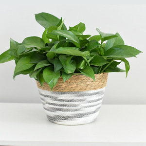 Rattan Woven Flower Pots Round Tibetan Blue Gray Handmade Storage <b>Baskets</b> For Home Decoration - Product Image 4