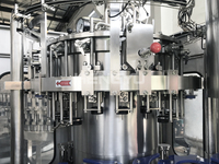 Machine de remplissage et de bouchage de bouteilles de bière à contre-pression pour ligne d'emballage de bouteilles en verre de brasserie artisanale