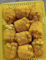 Biologische verse Longan Vietnam Hoge Kwaliteit Natuurlijke Zoetheid 100% Natuurlijk 60 Dagen Houdbaarheid VietGAP GlobalGAP Gecertificeerd Klaar om te eten