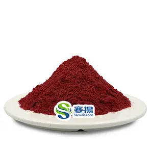 Liofilizzato estratto di mirtillo rosso in polvere estratto di frutta mirtillo in polvere