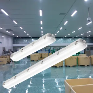 商用工业IP65防水2英尺4英尺发光二极管三防灯具20W 30W 40W 50W 60w发光二极管蒸汽灯