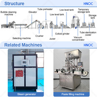 HNOC Tomatenpuree Productiemachine Tomatenpasta Verwerkingsmachine Kleine Ketchup Productielijn