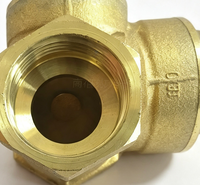 Vanne de retenue horizontale en laiton forgé à chaud, extrémité filetée, pour eau, huile, gaz, certifiée CE ISO