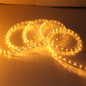 Vendita calda esterna di colore che cambia illuminazione corda luce della corda del led 220v 110v 24v 12v - Product Image 6