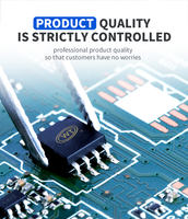 WTN6020 SOP8 Chip de sonido OTP personalizado 20 s para sonido de juguete Chip IC Música IC Voz IC