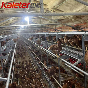 Europe et Australie Nid de ponte de poulets Ferme Cage de collecte d'œufs Volaille en liberté Poule Éleveur automatique Couche à rouler - Product Image 3