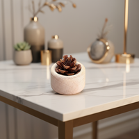 Diffuseur d'arômes Art Déco en bois de hêtre naturel avec pomme de pin - Diffuseur d'huiles essentielles en bois fait main pour cadeaux d'anniversaire et de jubilé, décoration intérieure