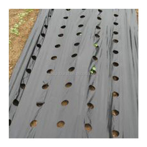 China Factory Agricultural Plastic <strong>Covering</strong> Mulch Film Mulching Sheets to Protect <strong>Seed</strong> - Product Image 2