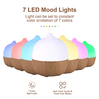 Diffuseur d'huiles essentielles Vapeur Diffuseur électrique personnalisé Fabriqué en Chine Humidificateur à ultrasons Offre Spéciale sur le marché