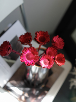 Bouquet de fleurs séchées de luxe avec base - Petite taille, longue durée (3-5 ans), pour la fête des Mères et la remise des diplômes, décoration de bureau et de plantes