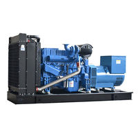 Internat ional Famous Brand Power 20kW/2500kW Wasser-und leiser Diesel generator