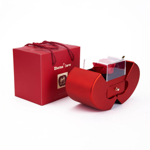 Elegante Caja de Joyería con Zirconia Blanca Chapada en Oro Clásico, Artículos para Fiestas, Tarjeta de Mensaje Personalizada, Regalo de San Valentín para Mi Amor - Product Image 3