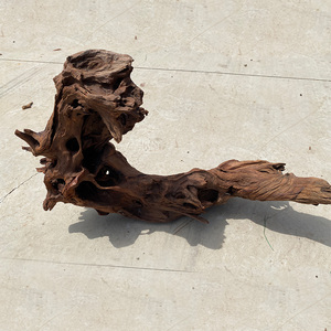 Gỗ Ngải Cứu Tự Nhiên Cho Bể Cá Malaysia Gỗ Ngải Cứu Tự Nhiên Cho Bể Cá - Product Image 4