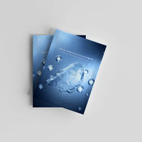 Sachets refermables personnalisés imprimés en gravure, anti-odeur, 1g 3g, trois côtés, pour masques en feuille