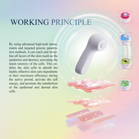 Appareil facial ABS Home Solan Use REVERSE TIME pour 360 traitements, technologie d'infusion magnétique pour une peau ferme et lisse en 15 minutes