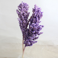 Nouveau produit Top vendeur fleur de ginseng séchée conservée pour la maison/fleurs de décoration de mariage