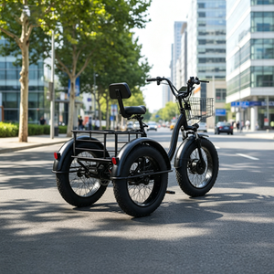 <span class=keywords><strong>Tricycle</strong></span> électrique d'usine <span class=keywords><strong>pour</strong></span> adultes, garantie de 2 ans, cadre en acier à 6 vitesses, freins à disque (moteur et batterie personnalisés disponibles) - Product Image 3