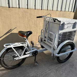 Tricycle électrique à assistance au pédalage à prix avantageux, chariot de vente ambulante avec congélateur à coffre profond, vélo commercial, chariot de vente de glaces, vélo avec congélateur de 68 litres - Product Image 3