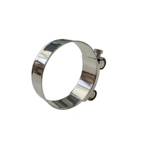 Collier de serrage réglable en acier inoxydable poli ultra-résistant bleu et argenté pour radiateur automobile, type T-Bolt