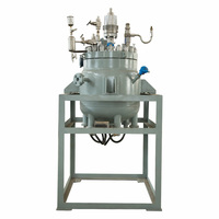 Réacteur d'hydrolyse chimique Borui 60L SS316 S304 avec agitateur à ancre