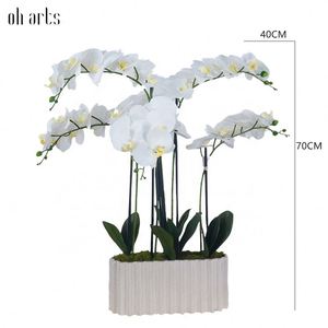 Oh Arts Fleurs Artificielles, Orchidées Artificielles, Phalaenopsis en Soie au Toucher Réel, Orchidées Près de Chez Moi, Fleur d'Orchidée - Product Image 2