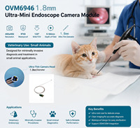 Cámara Endoscópica OEM ODM con Imagen Ultraclara, Sensor CMOS OVM6946 de 400*400 Píxeles, Resistente al Agua, 30 fps, para Uso Médico e Industrial