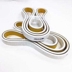 Courroie ECG WD W8-P 1200*24 de qualité supérieure pour alimentateur de machine plieuse-colleuse. Taille : 24 mm (largeur) x 8 mm (épaisseur) x 1200 mm - Product Image 1