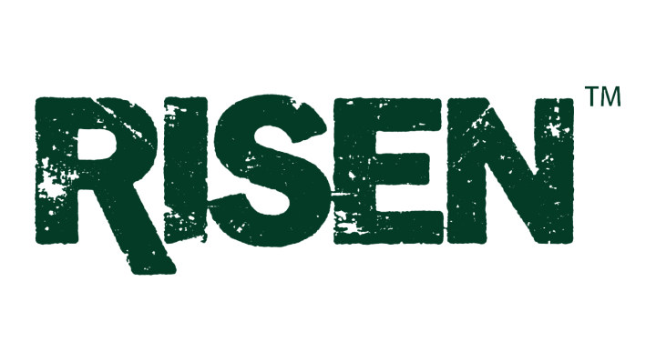 Henan Rishen Import And Export Trading Co., Ltd. logo