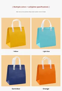 Non-Woven Insulated Foldable Portable Delivery Cooler Bag with Zipper Closure Thermal Insulation Food Grade Disposable - Product Image 3