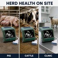 Échographe vétérinaire portable pour la détection de la gestation des truies, testeur d'échographie B pour porcs avec sonde convexe pour usage agricole