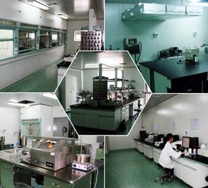 20 años de suministro del fabricante GMP Crospovidona PVPP XL Excipiente desintegrador de XL-10 CAS.NO 25249 BP/EP/USP Grado alimenticio - Product Image 5
