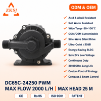 Pompe submersible à entraînement magnétique OEM ZKSJ 24V, 2000 LPH, hauteur de refoulement 82 pieds, pour usage industriel