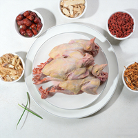 Viande de caille congelée de qualité export, certifiée Halal, enrichie en sélénium, avec procédé de congélation BQF et emballage sous vide, idéale pour les barbecues du Moyen-Orient
