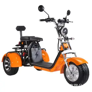 3 Wheels Popular And Powerful 1000w 60v Citycoco Electric Scooter Tire Tricycle Pedal Assisted Eec Trike 3 Wheel Tricycle