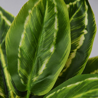 Plante artificielle Dieffenbachia à taches, feuilles de soie, type Taro, en pot, 48 cm, pour centre de table, mariage, Noël, décoration intérieure