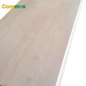 3mm Birch Plywood Low Price 3mm 25mm Bintangor Pine Birch Poplar Core Commercial Plywood