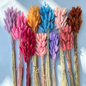 Décoration de mariage, fleurs séchées naturelles, herbe de la pampa, plusieurs couleurs, queues de lapin séchées - Product Image 3