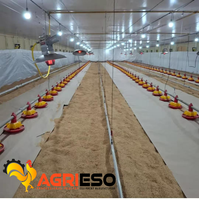 Système d'alimentation en chaîne pour poulets de chair, pondeuses et reproducteurs, équipement avicole avec moteur à engrenages Transtecno importé