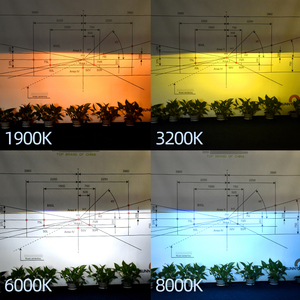 ไฟตัดหมอก LED สำหรับรถยนต์,H11 H8 <span class=keywords><strong>H4</strong></span> H7ลูเมนสูงไฟหน้ายานยนต์9006หลอดไฟเปลี่ยนระบบไฟส่องสว่างอัตโนมัติไฟหน้า - Product Image 5