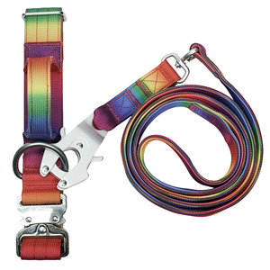 Rainbow Gradient Nylon Dog <b>Collar</b> & Leash Set, Heavy Duty with Luxury Metal Buckle for Medium Large Dogs - Product Image 3