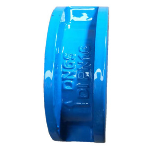 Válvula de Retención de Brida de Hierro Dúctil - Product Image 4