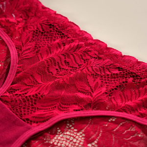 Nuevo Estilo de Bragas de Encaje Triangulares para <span class=keywords><strong>Mujer</strong></span>, Lencería Sexy con Forro de Algodón, Semitransparentes, Sin Costuras, Suaves, Ropa Interior de Puro Deseo - Product Image 3