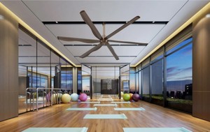 Ventilateurs de plafond commerciaux PM VFD HVLS 8ft/2.4m, débit d'air 2600m/min, câble anti-chute intégré, 6 pales, faible bruit 39dB, conçus pour une utilisation professionnelle - Product Image 5