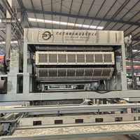 Machine de fabrication de barquettes à œufs en pâte à papier 8x8 alvéolées 10000 pièces/heure / Ligne de production de barquettes à œufs entièrement automatique avec four à gaz métallique et sécheur