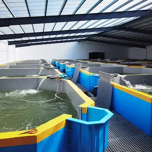 Indoor Sea Fishing Farm Indoor Fish Farming Systems Tilapia Breeding Biofloc Shrimp Indoor Farming