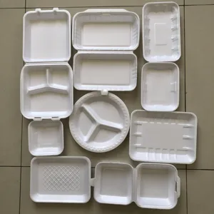 PS köpük levha bulaşık makinesi yiyecek kutusu yumurta tepsisi tek kullanımlık köpük tabaklar köpük tabak üretim hattı